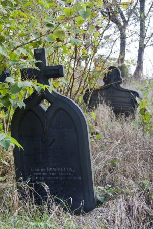 undercliffe henrietta sm.jpg